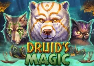 Druid’s Magic