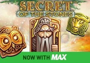 Secret of the Stones MAX