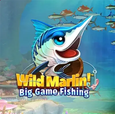 Wild Marlin! Big Catch