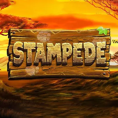 Stampede