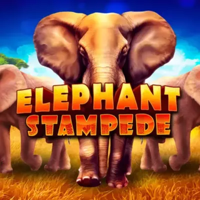 Elephant Stampede