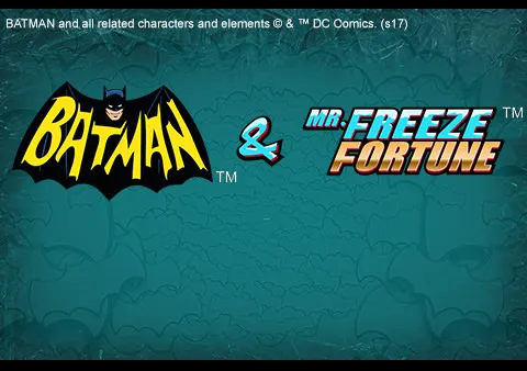 Batman and Mr Freeze Fortune