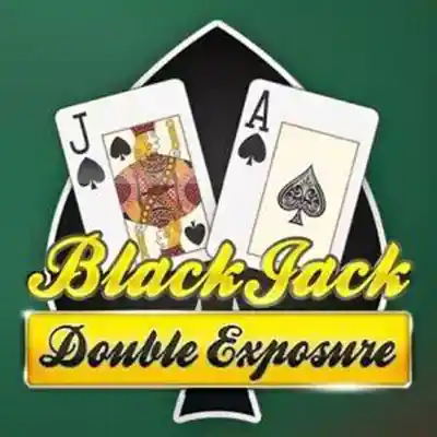 Double Exposure Blackjack