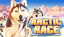 Arctic Race