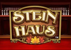 Stein Haus™