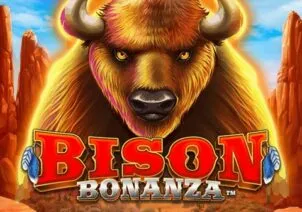 Bison Bonanza