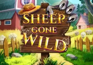 Sheep Gone Wild