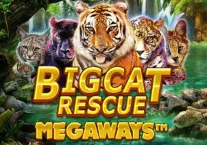 Big Cat Rescue Megaways