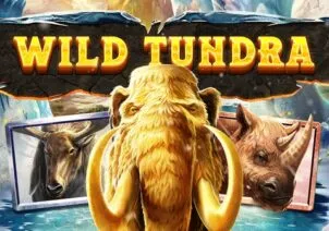 Wild Tundra