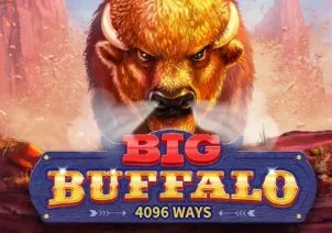 Big Buffalo