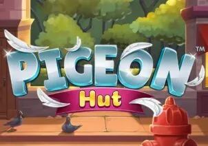 Pigeon Hut