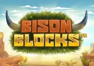 Bison Blocks