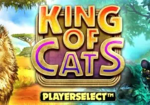 King of Cats Megaways