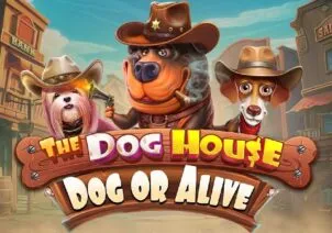 The Dog House: Dog or Alive