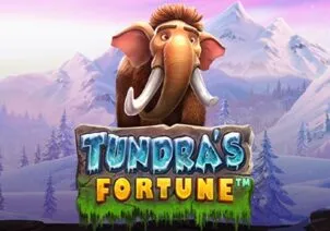 Tundra's Fortune