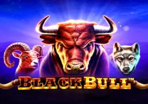 Black Bull