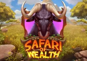 Safari of Wealth