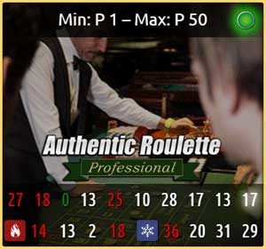 authentic professional roulette