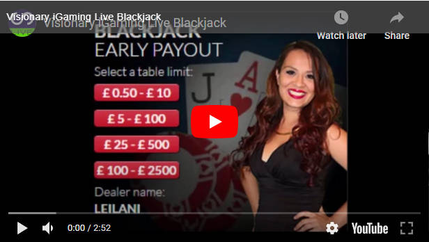 vig blackjack video