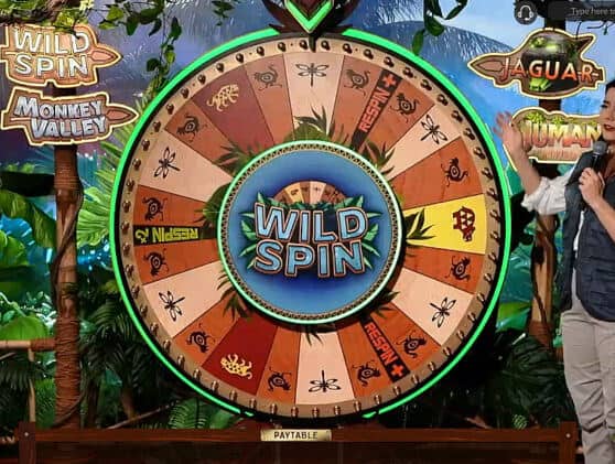 wild spin