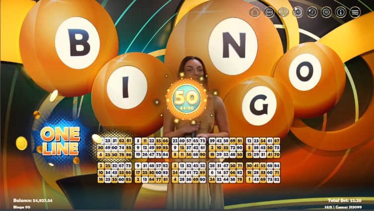 ez bingo 90 one line win