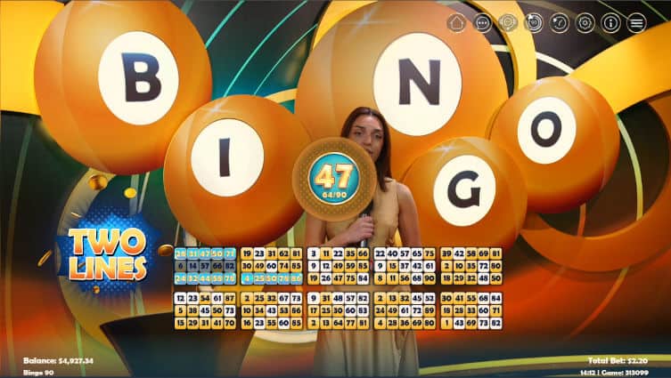 ez bingo 90 two line win