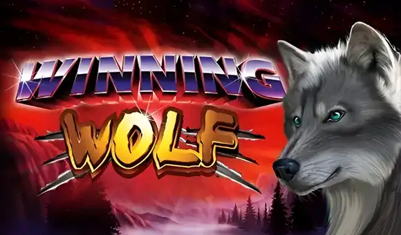 Winning Wolf