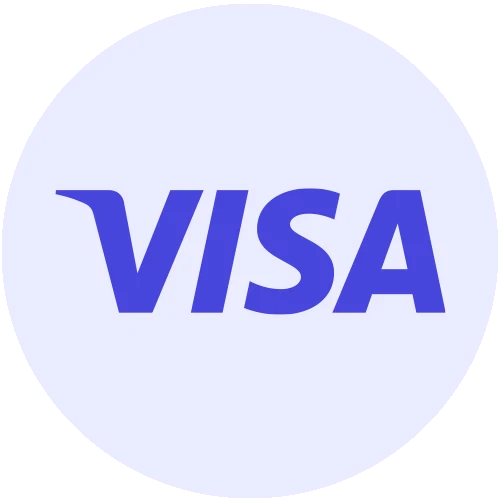 Visa Round Logo
