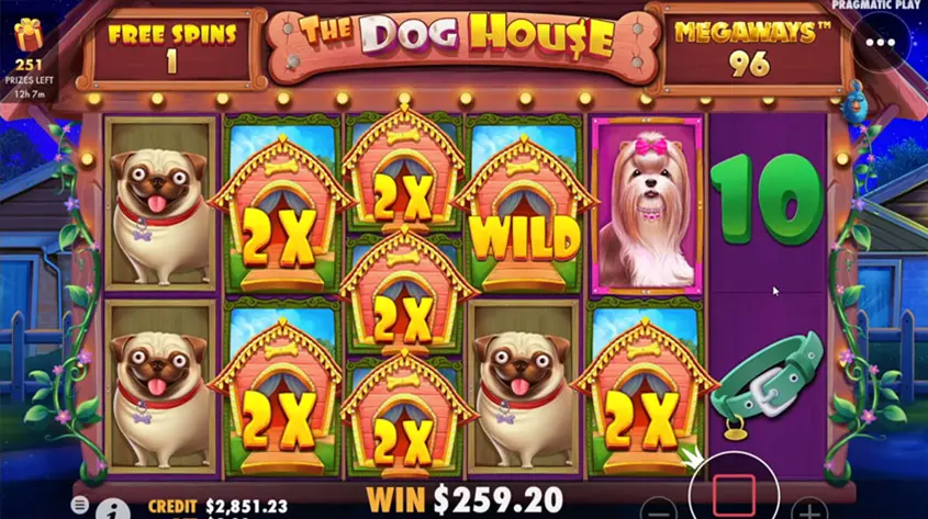 The Dog House Megaways Big Win
