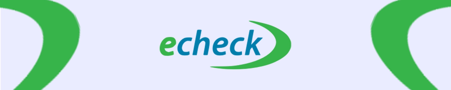 Electronic check payment overview