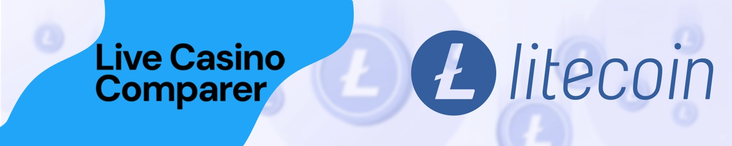 Litecoin final overview