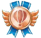 bronze medal